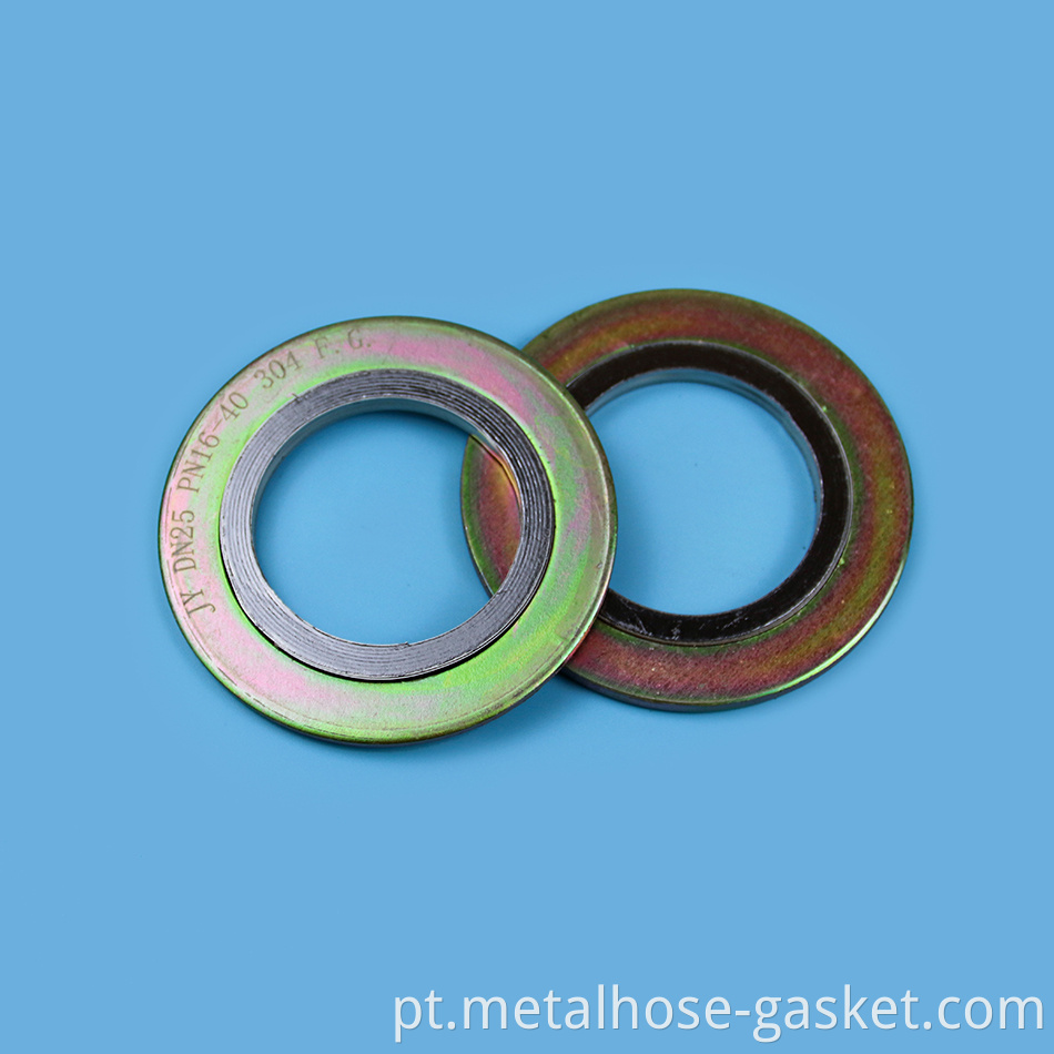 Spiral Wound Gasket With Outer Ring 
